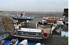 Saito20260614-9.JPG