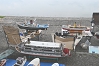 Saito20260614-9.JPG